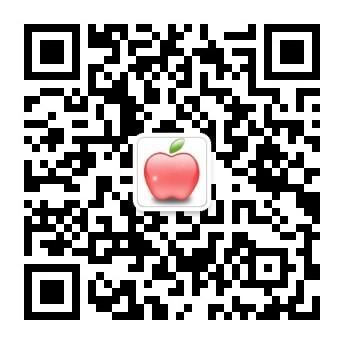 bob怎样